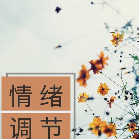 分期乐为什么借不出？这几个因素你需要知道