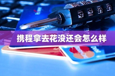 携程拿去花怎么分期付款