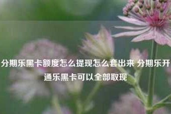 分期乐额度借不出怎么办？