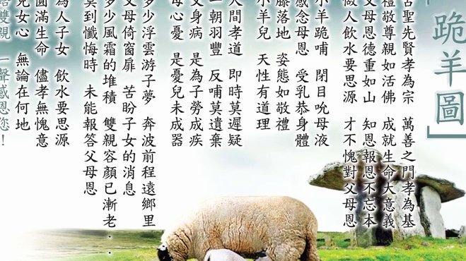 羊小咩取现费用65元成本拆解