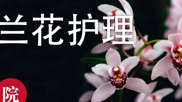 花呗套现安全吗？知乎探秘