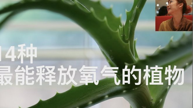 拿去花套现回收商家 怎么处罚