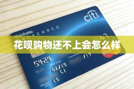怎么联系花呗平台