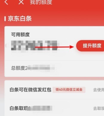 白条额度设置指南