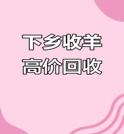 羊小咩回收哪家最靠谱