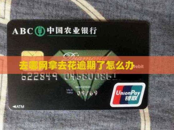 不满意“去哪儿拿去花”订单可以退款吗？