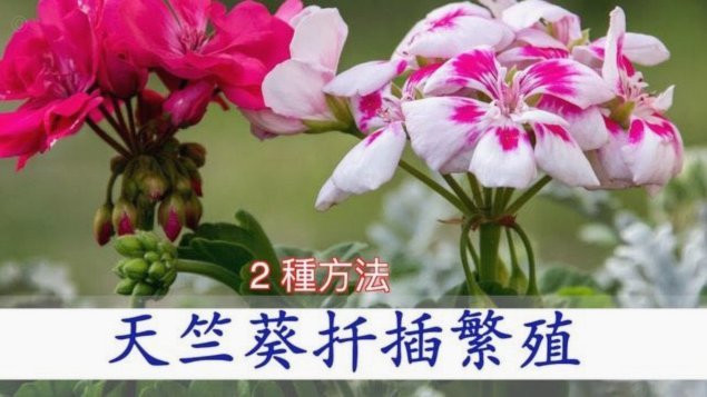 如何科学利用花呗：优化个人现金流与信用管理指南