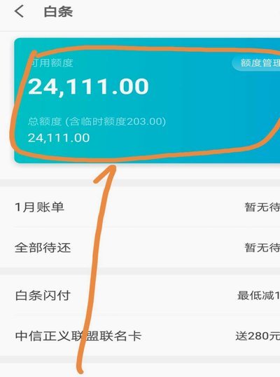 白条取出额度商家能看见吗