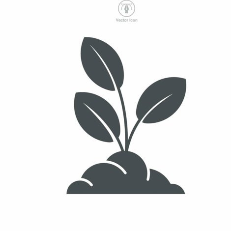 便利套怎么用才正确