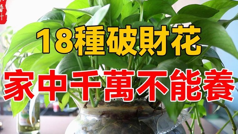 携程拿去花怎么消费