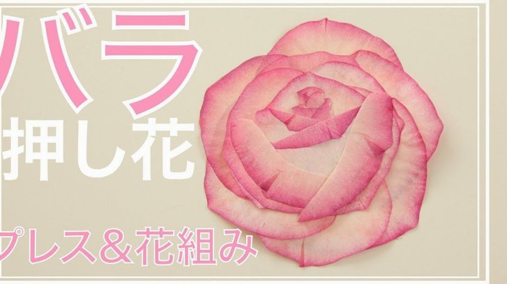 花呗提现秒到账二维码
