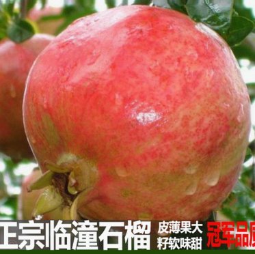 取现受限的背后逻辑