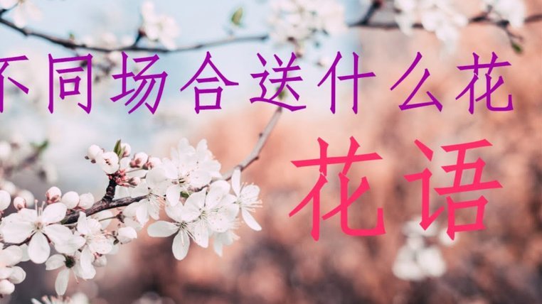 秒用花：快消时代的瞬间美学