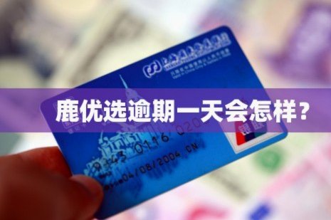 如何高效使用鹿优选10000元优惠额度