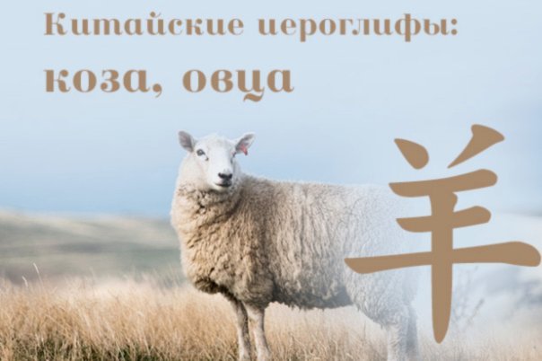 羊小咩贷款合法吗