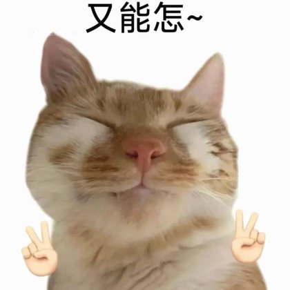 花呗沟通指南：多渠道解决问题