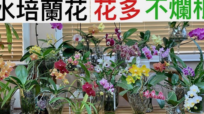 携程拿去花的取现攻略与风险提示