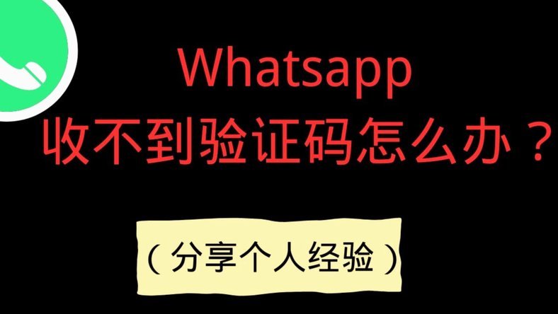 白条上征信了？如何应对？