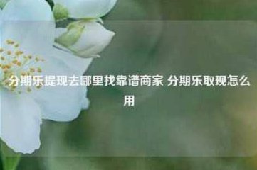分期乐消费额度怎么用