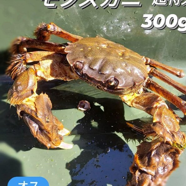 微信分付额度用完，该如何应对？