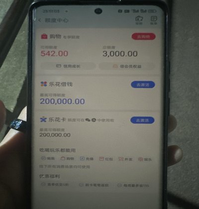 分期乐借款总金额在哪里看