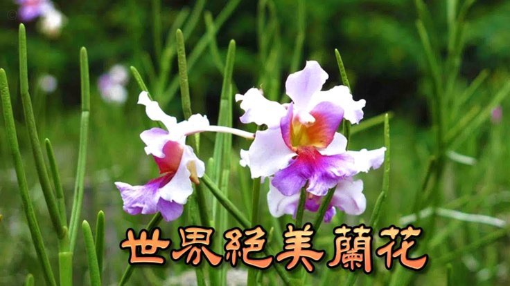 拿去花套现速度最快的