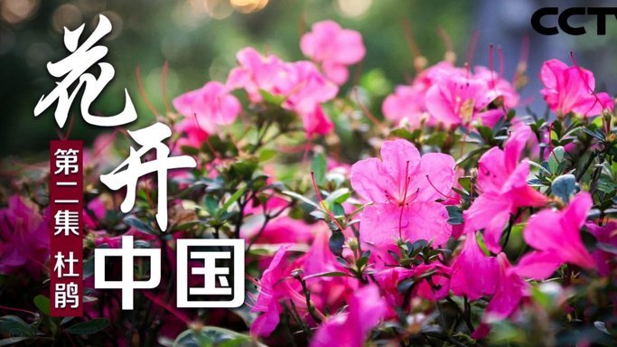 花呗借款平台是正规的吗可靠吗