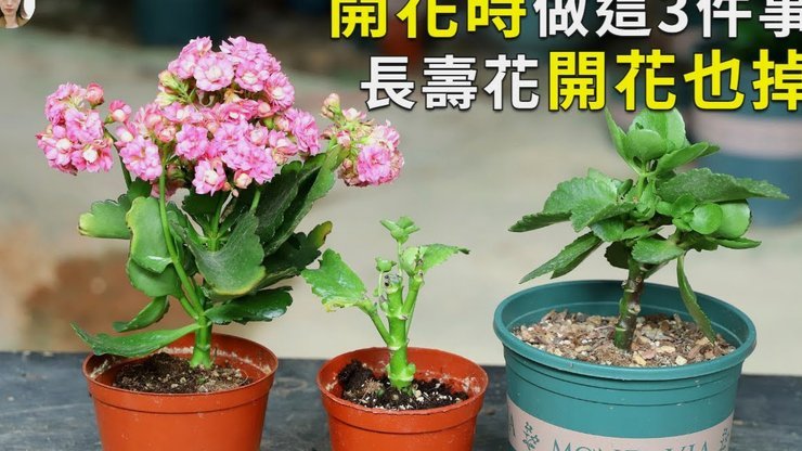 携程积分提现攻略：避开这些坑轻松搞定