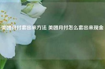 美团月付点位如何变现