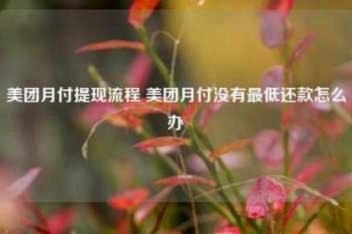 美团月付取现怎么弄 平台的