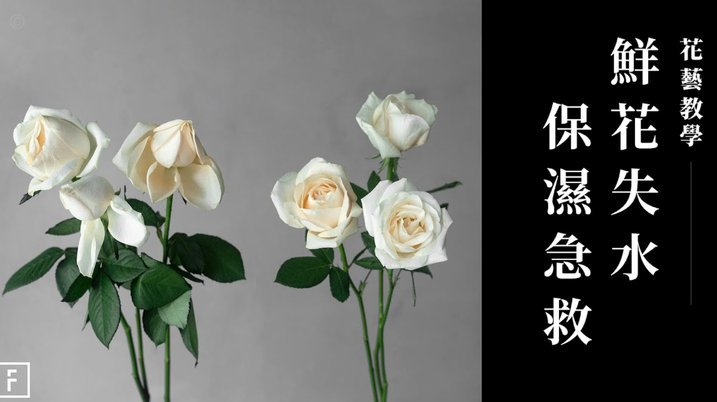 花呗怎么提现呢?