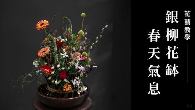花呗怎么提现呢?