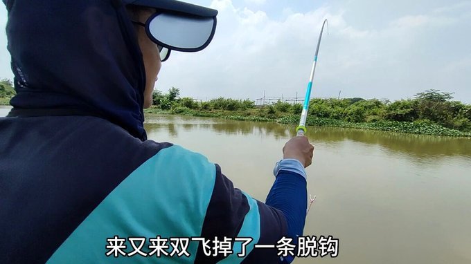 白条怎么钓上鱼最快