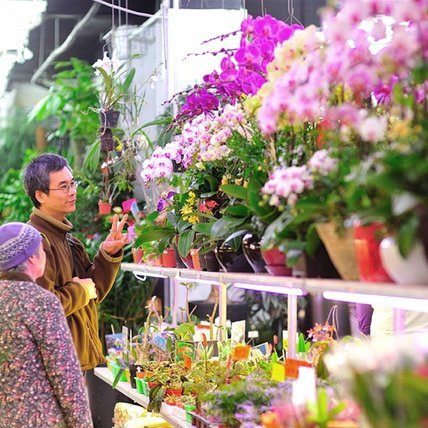 花呗套现是否会被平台监控？