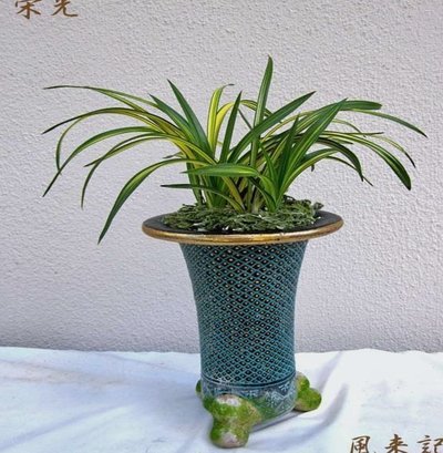 携程“拿去花”：玩转金融，不走寻常路