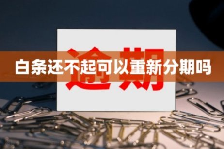 白条平台是什么